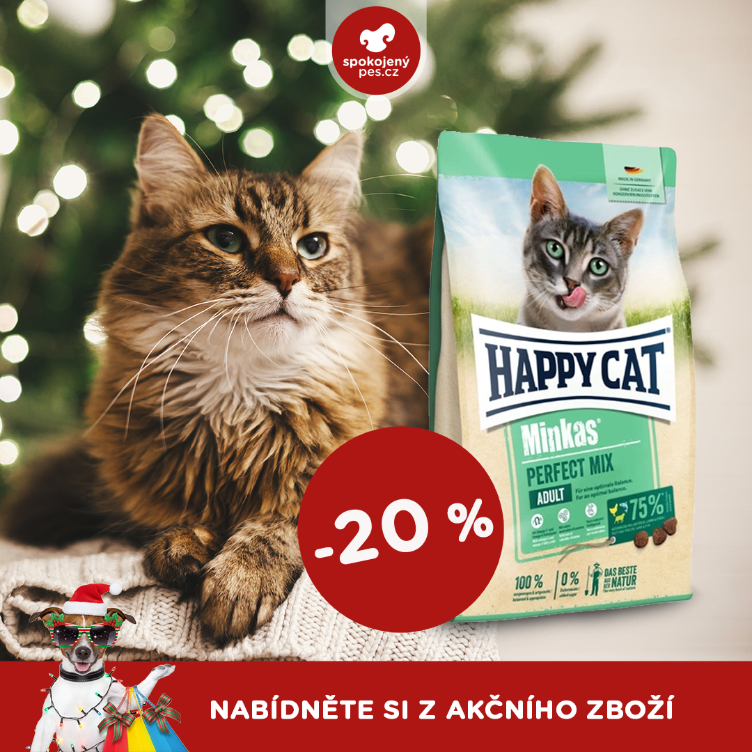 akční prosinec_kočka1.png